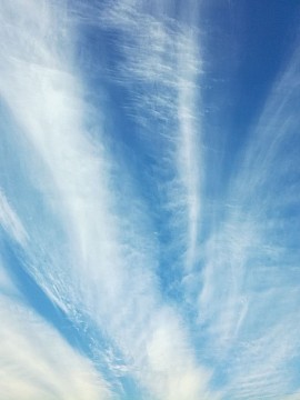 Cielo